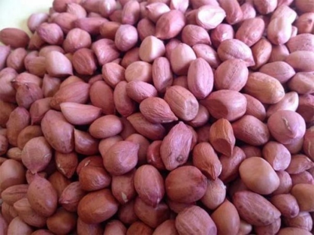 Peanut from Senegal